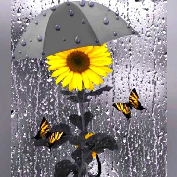 Showing pictures! Entertainment For you! - Picture 12 of 14